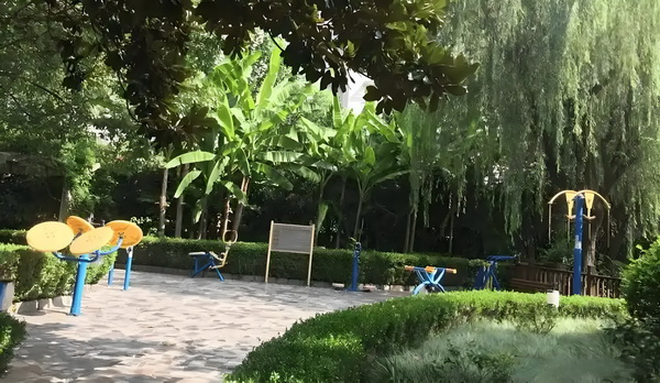 生莲